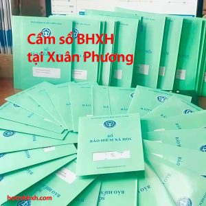 Cam So Bhxh Tai Xuan Phuong