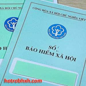 Co 2 So Bhxh Xu Ly The Nao