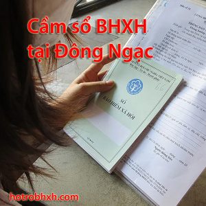 Ho Tro Bhxh Tai Dong Ngac