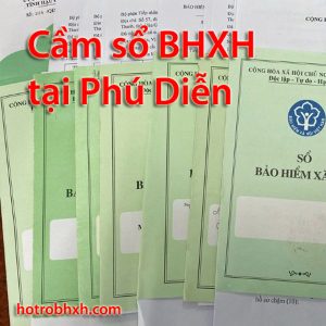 Ho Tro Bhxh Tai Phu Dien